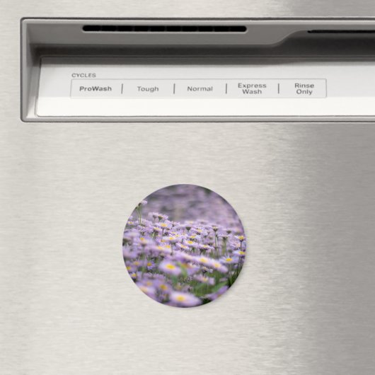 Aimant Fleurs d'aster violet (In Situ (Lave-vaisselle))