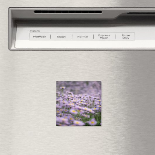 Aimant Fleurs d'aster violet (In Situ (Lave-vaisselle))