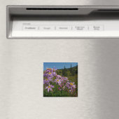 Aimant Fleurs d'aster violet au Mont Rainier (In Situ (Lave-vaisselle))