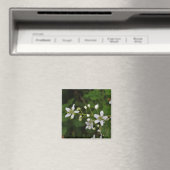 Aimant Fleurs de Blackberry (In Situ (Lave-vaisselle))