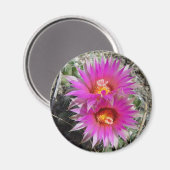 Aimant Fleurs de boule F5 "Escobaria vivipara" (Recto/Verso)