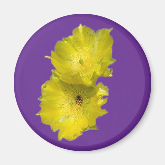Aimant Fleurs de cactus (Devant)
