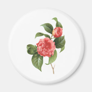 Aimant Fleurs de Camélia roses florales vintage par Redou