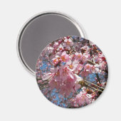 Aimant Fleurs de cerisier et fleurs de printemps roses d' (Recto/Verso)