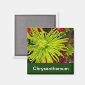 Aimant fleurs de chrysanthème (Recto/Verso)