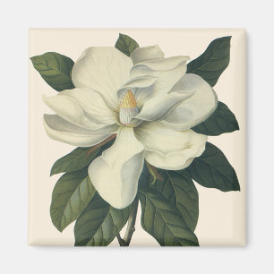 Aimant Fleurs de fleurs vintages de Magnolia Blanche en f