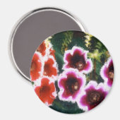 Aimant Fleurs de jardin (Recto/Verso)