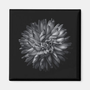 Aimant Fleurs de jardin en noir et blanc 20