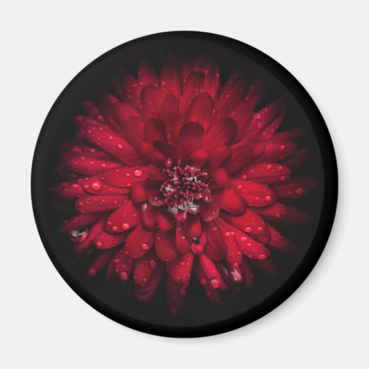 Aimant Fleurs de Jardin N° 45 Version Couleur (Devant)