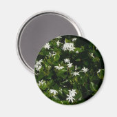 Aimant Fleurs de jasmin Botanique tropicale florale (Recto/Verso)