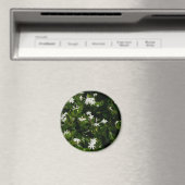 Aimant Fleurs de jasmin Botanique tropicale florale (In Situ (Lave-vaisselle))