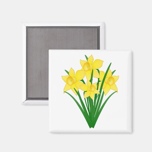 Aimant Fleurs de jonquille (Recto/Verso)