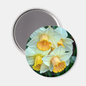 Aimant Fleurs de jonquilles jaunes (Recto/Verso)