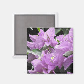Aimant Fleurs de lavande (Recto/Verso)