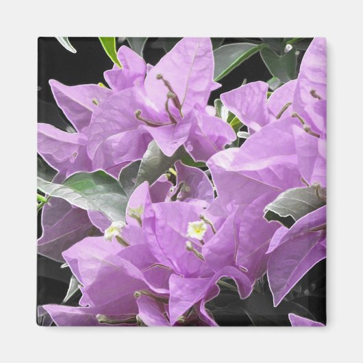 Aimant Fleurs de lavande (Devant)