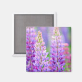 Aimant Fleurs de Lupin Pourpre (Recto/Verso)