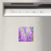 Aimant Fleurs de Lupin Pourpre (In Situ (Lave-vaisselle))