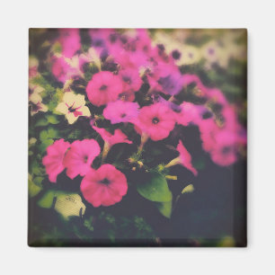 Aimant Fleurs de magasin d'alimentation