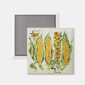 Aimant Fleurs de maïs et de moelle 2014 (Recto/Verso)