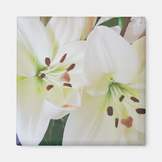 Aimant Fleurs de mariage blanches Enregistrer la date Aim (Devant)
