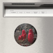 Aimant Fleurs de neige (In Situ (Lave-vaisselle))