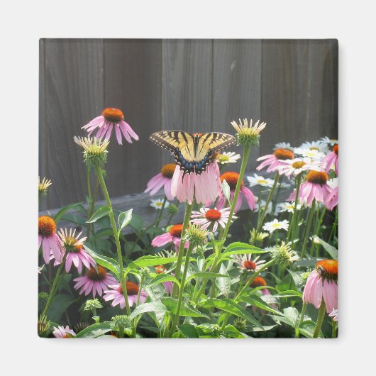 Aimant Fleurs de papillon et de cône (Devant)