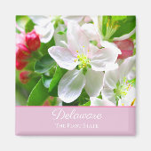 Aimant Fleurs de pêcher du Delaware Premier État (Devant)