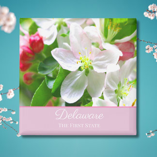 Aimant Fleurs de pêcher du Delaware Premier État