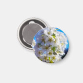 Aimant Fleurs de poires (Recto/Verso)