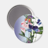 Aimant Fleurs de pois doux (Recto/Verso)