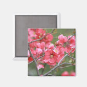 Aimant Fleurs de pomme de crabe (Recto/Verso)