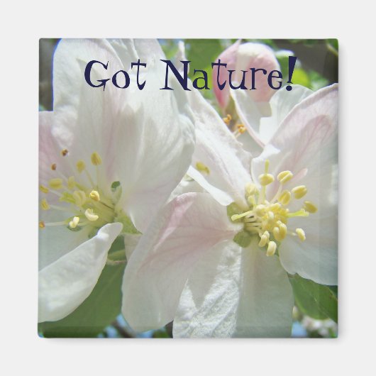 Aimant Fleurs de pommier rose 'Got Nature!' (Devant)