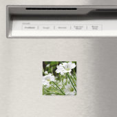 Aimant Fleurs de prairie (In Situ (Lave-vaisselle))