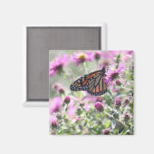 Aimant Fleurs de prés papillons et violets (Recto/Verso)