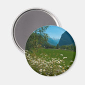 Aimant Fleurs de printemps de Norvège (Recto/Verso)