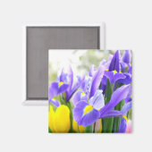 Aimant Fleurs De Printemps Irises Et Tulipes (Recto/Verso)