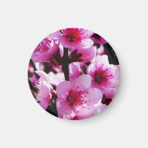 Aimant Fleurs de ressort