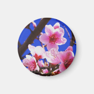 Aimant Fleurs de ressort