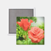 Aimant Fleurs de rose romantiques (Recto/Verso)