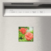 Aimant Fleurs de rose romantiques (In Situ (Lave-vaisselle))