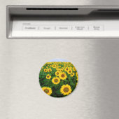 Aimant Fleurs de soleil (In Situ (Lave-vaisselle))