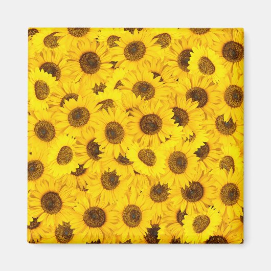 Aimant Fleurs de soleil (Devant)