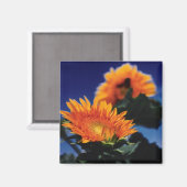 Aimant Fleurs de soleil (Recto/Verso)
