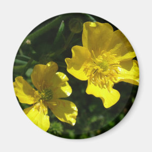 Aimant Fleurs de tasse à beurre