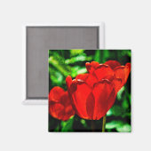 Aimant Fleurs de tulipes rouges (Recto/Verso)