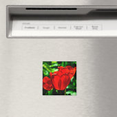 Aimant Fleurs de tulipes rouges (In Situ (Lave-vaisselle))