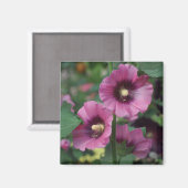 Aimant Fleurs d'hibiscus pourpres (Recto/Verso)