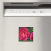 Aimant Fleurs d'hibiscus roses (In Situ (Lave-vaisselle))