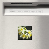 Aimant Fleurs d'hiver (In Situ (Lave-vaisselle))