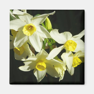 Aimant Fleurs d'hiver